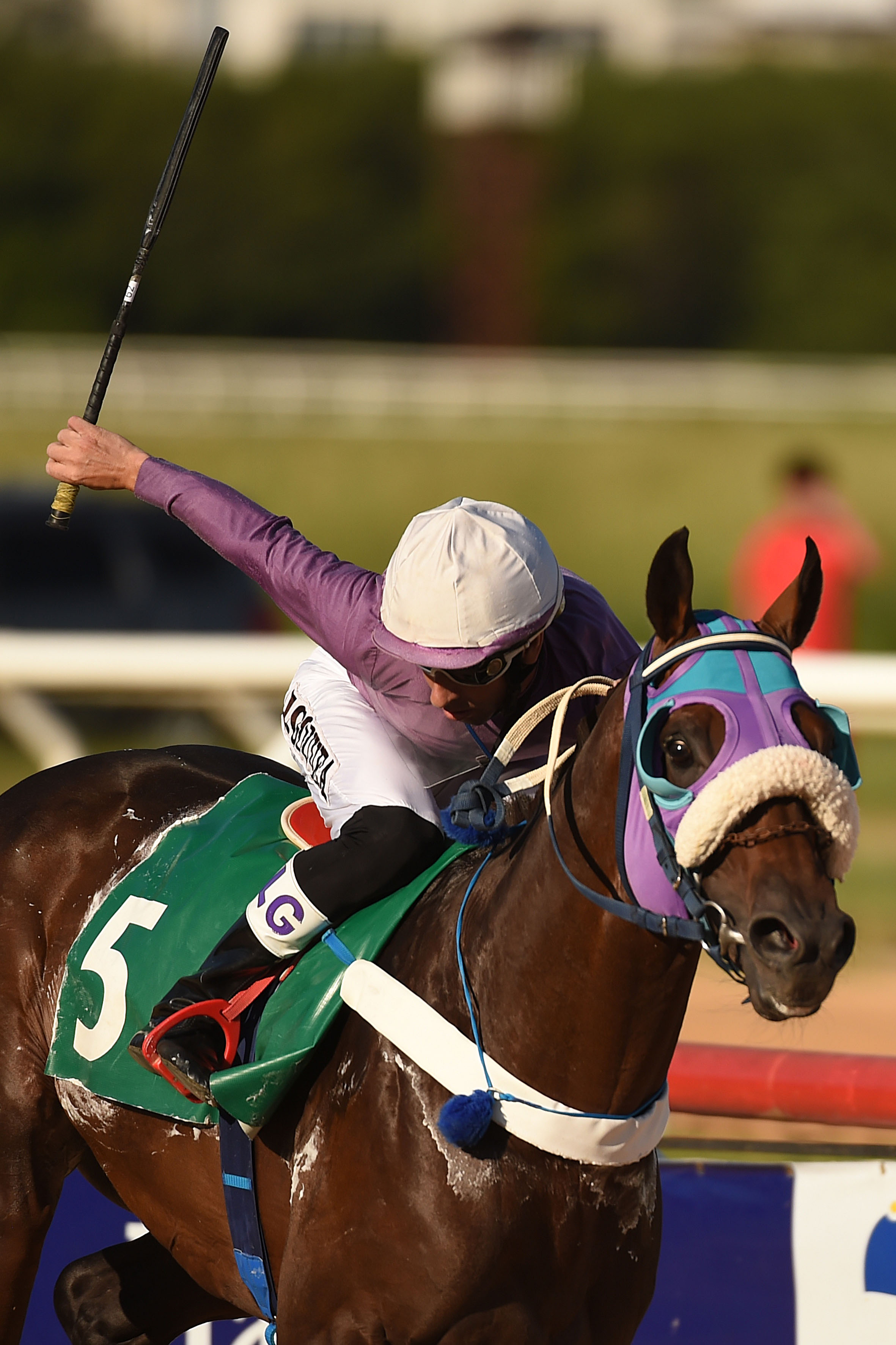   Mais uma vez seu GALILEU CORUNILHA  