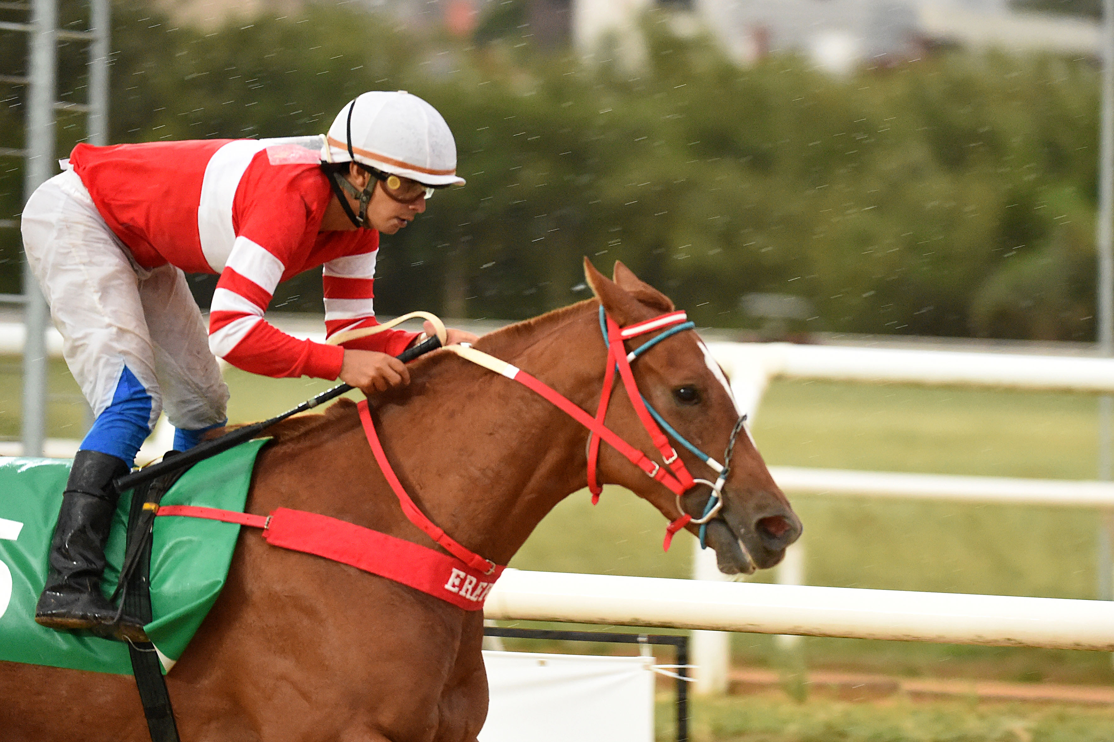 This image for Image Layouts addon