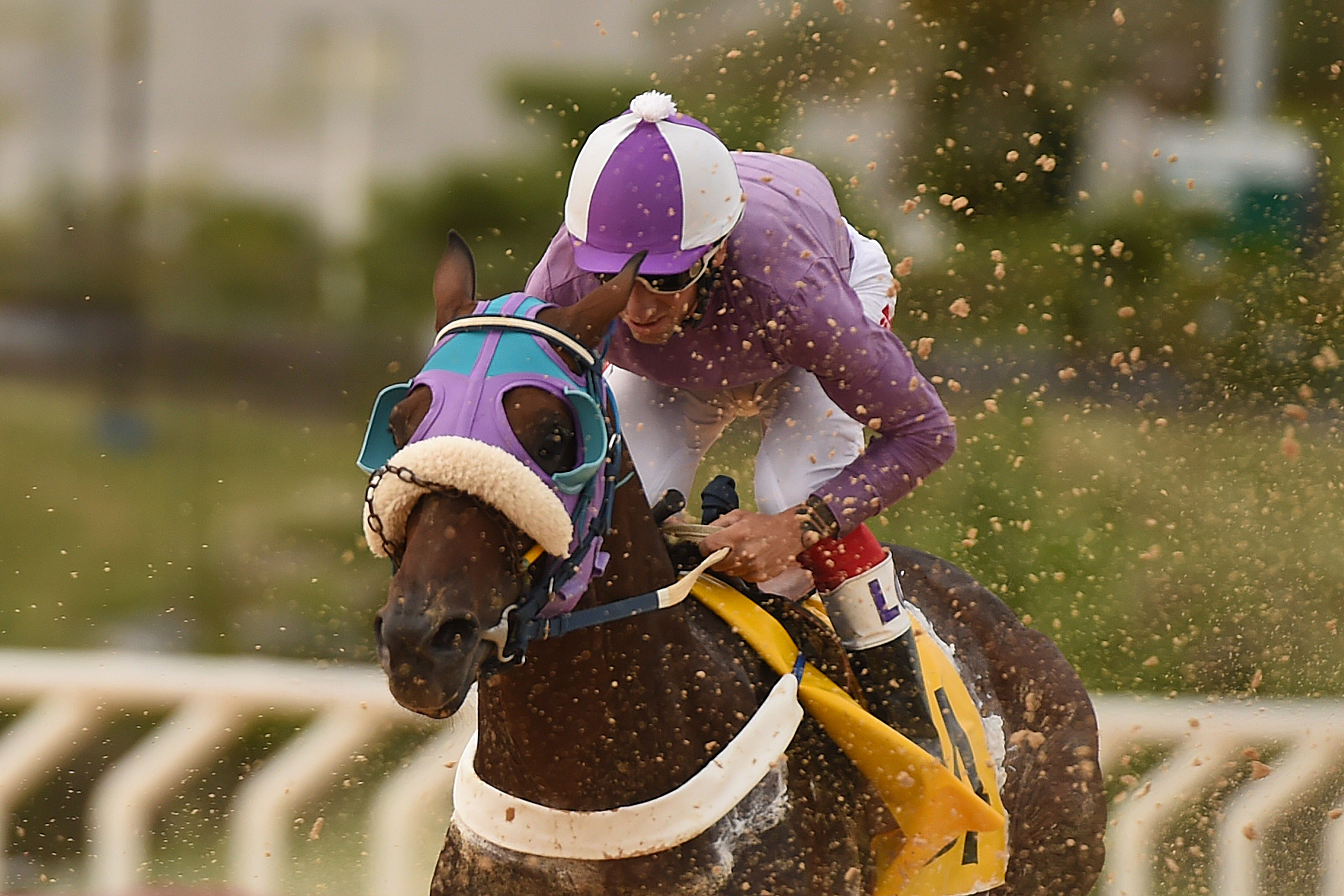 This image for Image Layouts addon