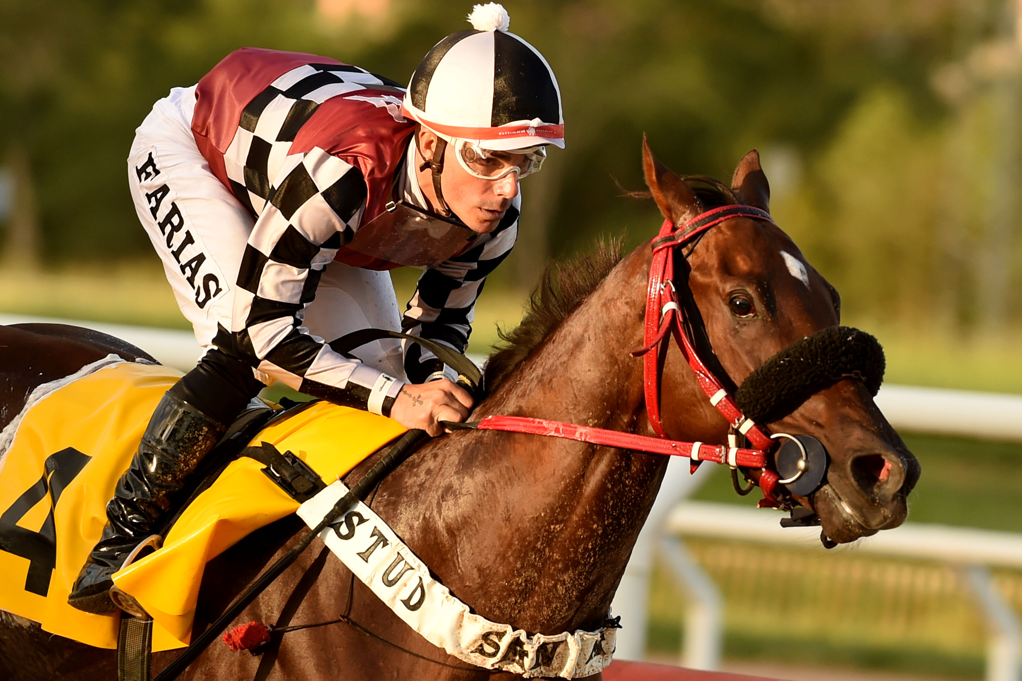 This image for Image Layouts addon